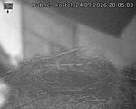 Capi_Dubne_20260924_200503.jpg