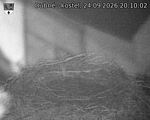 Capi_Dubne_20260924_201002.jpg