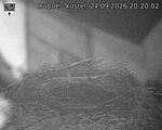 Capi_Dubne_20260924_202002.jpg