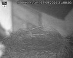 Capi_Dubne_20260924_210003.jpg