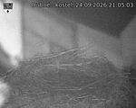 Capi_Dubne_20260924_210503.jpg