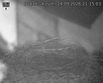 Capi_Dubne_20260924_211503.jpg