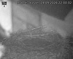 Capi_Dubne_20260924_220002.jpg