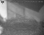 Capi_Dubne_20260924_223002.jpg