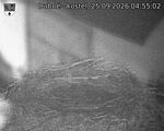 Capi_Dubne_20260925_045502.jpg