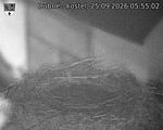 Capi_Dubne_20260925_055502.jpg