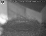 Capi_Dubne_20260925_060003.jpg
