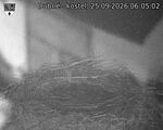 Capi_Dubne_20260925_060502.jpg