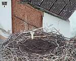 Capi_Dubne_20260925_065002.jpg
