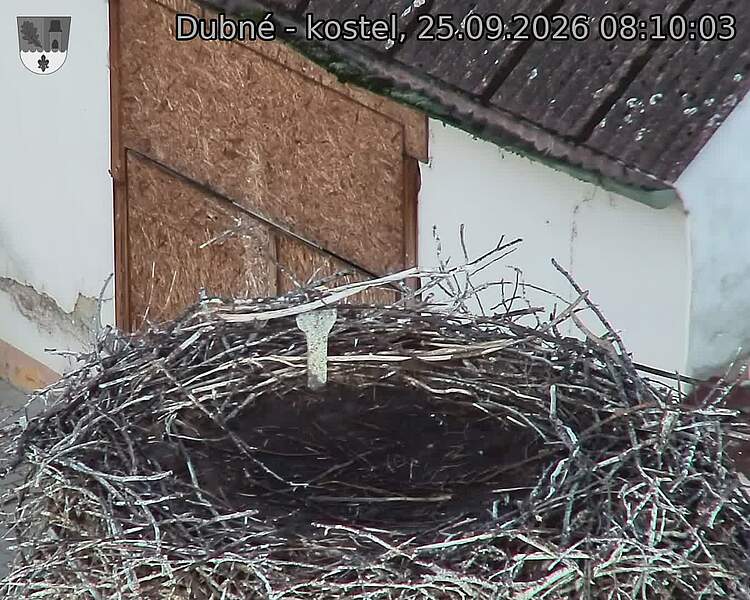 preload