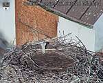 Capi_Dubne_20260925_090504.jpg