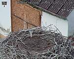 Capi_Dubne_20260925_121504.jpg
