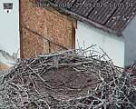 Capi_Dubne_20260925_130504.jpg