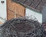 Capi_Dubne_20260925_131004.jpg