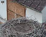 Capi_Dubne_20260925_161002.jpg