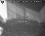 Capi_Dubne_20260925_195002.jpg