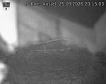 Capi_Dubne_20260925_201503.jpg