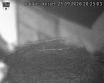 Capi_Dubne_20260925_202503.jpg