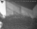 Capi_Dubne_20260925_204002.jpg