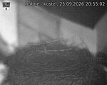 Capi_Dubne_20260925_205502.jpg