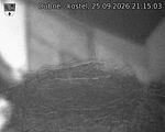 Capi_Dubne_20260925_211503.jpg