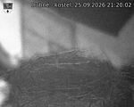 Capi_Dubne_20260925_212002.jpg
