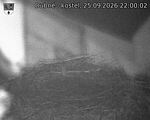 Capi_Dubne_20260925_220002.jpg