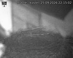 Capi_Dubne_20260925_221502.jpg