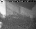 Capi_Dubne_20260925_230502.jpg