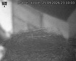 Capi_Dubne_20260925_231003.jpg