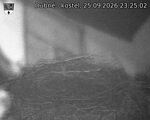 Capi_Dubne_20260925_232502.jpg