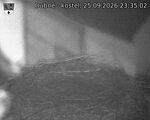 Capi_Dubne_20260925_233502.jpg