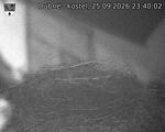 Capi_Dubne_20260925_234002.jpg