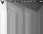 Capi_Dubne_20260926_051116.jpg