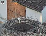 Capi_Dubne_20260926_074003.jpg