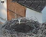 Capi_Dubne_20260926_075003.jpg
