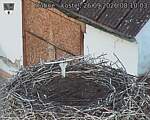 Capi_Dubne_20260926_081003.jpg