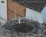Capi_Dubne_20260926_081503.jpg