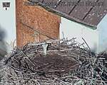 Capi_Dubne_20260926_090003.jpg