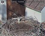 Capi_Dubne_20260926_094003.jpg