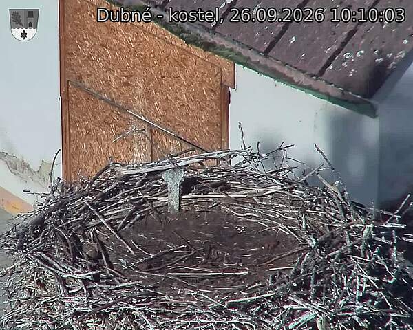 preload