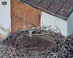 Capi_Dubne_20260926_102003.jpg