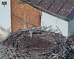 Capi_Dubne_20260926_105503.jpg