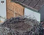 Capi_Dubne_20260926_133003.jpg
