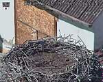 Capi_Dubne_20260926_140002.jpg