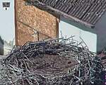 Capi_Dubne_20260926_141503.jpg