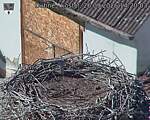 Capi_Dubne_20260926_142003.jpg