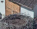 Capi_Dubne_20260926_143503.jpg