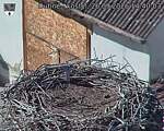 Capi_Dubne_20260926_144003.jpg