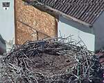 Capi_Dubne_20260926_144503.jpg